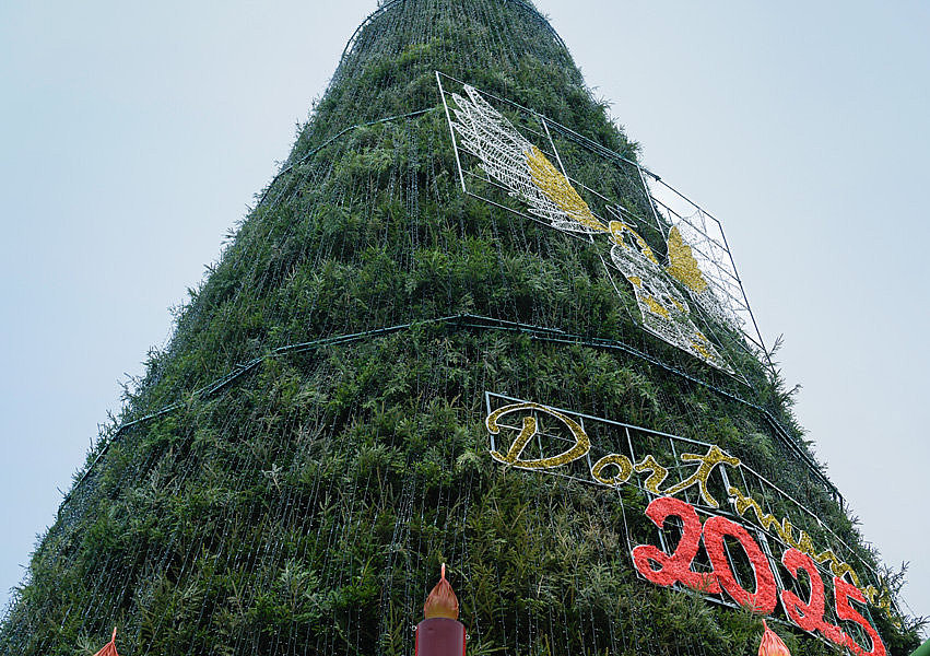 Weihnachtsbaum 2025 in Dortmund in Froschperspektive