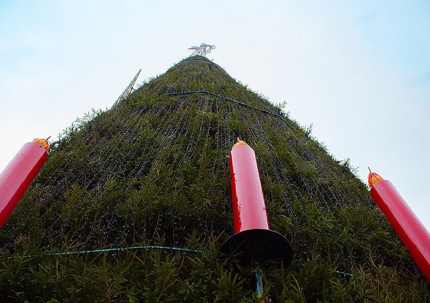 Blick von unten hoch in den Weihanchtsbaum