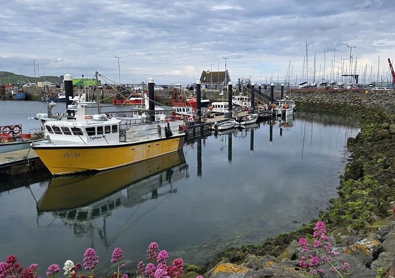 Das Bild zeigt den traditionellen Hafen von Howth mit mehreren kleinen Schiffen